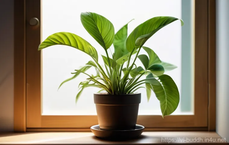 불교에서의 비움 - **Prompt: A thoughtful man, in his late 30s, stands at the edge of a vast, calm ocean beach during a...